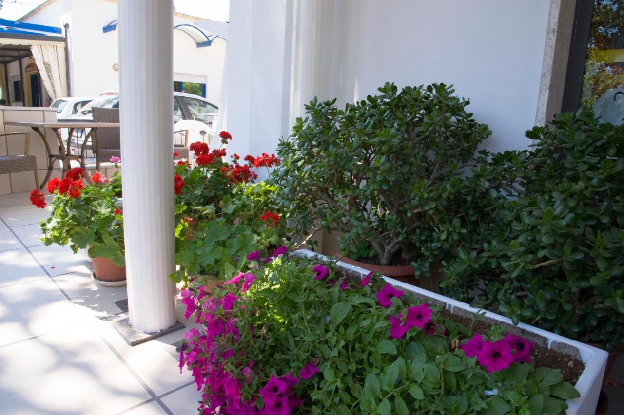 Hotel Maris Stella Riccione Zewnętrze zdjęcie